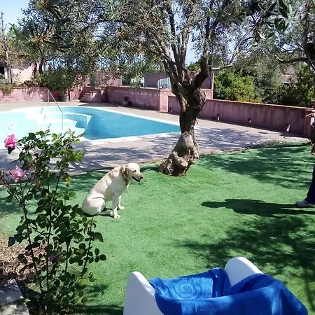 Vakantiehuis Spruzzi Di Sale